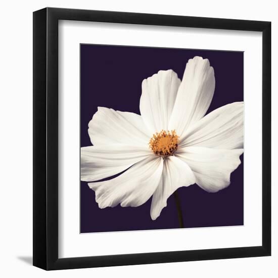 Cosmos II-Assaf Frank-Framed Art Print