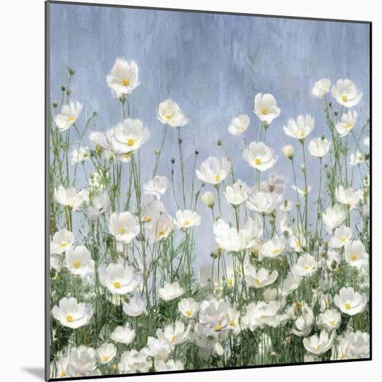 Cosmos Meadow-Tania Bello-Mounted Giclee Print