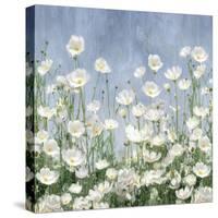 Cosmos Meadow-Tania Bello-Stretched Canvas