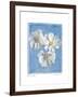 Cosmos on Blue I-Amy Melious-Framed Art Print