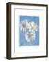 Cosmos on Blue I-Amy Melious-Framed Art Print