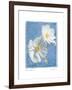 Cosmos on Blue II-Amy Melious-Framed Art Print