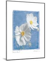 Cosmos on Blue II-Amy Melious-Mounted Art Print