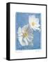 Cosmos on Blue II-Amy Melious-Framed Stretched Canvas