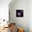 Cosmos Parade-Philippe Sainte-Laudy-Mounted Photographic Print displayed on a wall