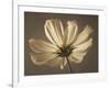 Cosmos Reflect-Assaf Frank-Framed Giclee Print