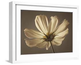 Cosmos Reflect-Assaf Frank-Framed Giclee Print