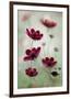 Cosmos Sway-null-Framed Premium Giclee Print