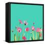 cosmos1    flowers, watercolor, floral-Robbin Rawlings-Framed Stretched Canvas