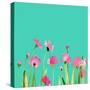 cosmos1    flowers, watercolor, floral-Robbin Rawlings-Stretched Canvas