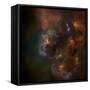 Cosmos-null-Framed Stretched Canvas