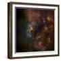 Cosmos-null-Framed Photographic Print