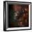 Cosmos-null-Framed Photographic Print