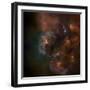 Cosmos-null-Framed Photographic Print