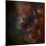 Cosmos-null-Mounted Photographic Print