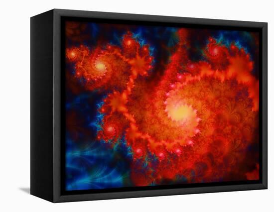 Cosmos-Tina Lavoie-Framed Stretched Canvas