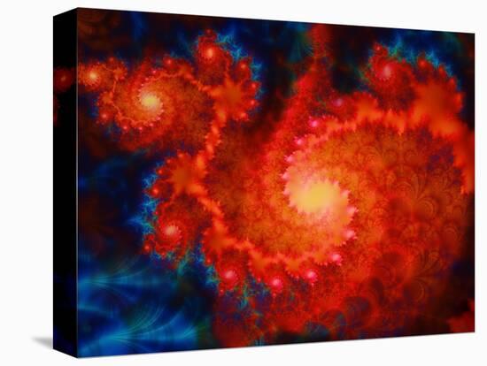 Cosmos-Tina Lavoie-Stretched Canvas