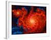 Cosmos-Tina Lavoie-Framed Giclee Print