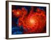 Cosmos-Tina Lavoie-Framed Giclee Print