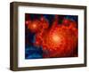 Cosmos-Tina Lavoie-Framed Giclee Print