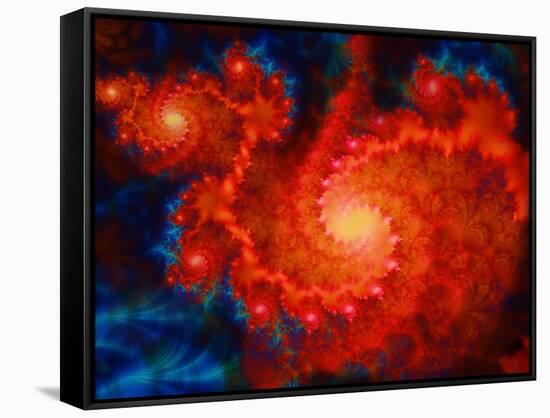 Cosmos-Tina Lavoie-Framed Stretched Canvas