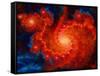 Cosmos-Tina Lavoie-Framed Stretched Canvas