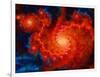 Cosmos-Tina Lavoie-Framed Giclee Print