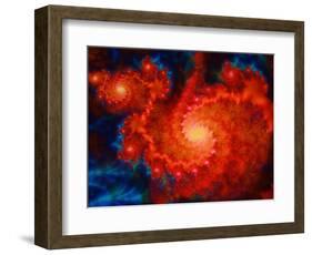 Cosmos-Tina Lavoie-Framed Premium Giclee Print