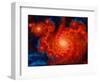 Cosmos-Tina Lavoie-Framed Premium Giclee Print