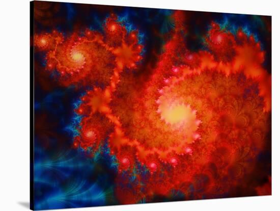 Cosmos-Tina Lavoie-Stretched Canvas