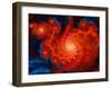 Cosmos-Tina Lavoie-Framed Giclee Print