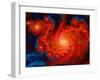 Cosmos-Tina Lavoie-Framed Giclee Print