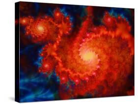 Cosmos-Tina Lavoie-Stretched Canvas