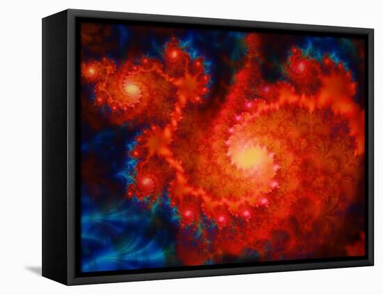 Cosmos-Tina Lavoie-Framed Stretched Canvas