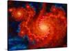 Cosmos-Tina Lavoie-Stretched Canvas
