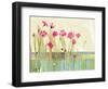 Cosmos-Robbin Rawlings-Framed Art Print