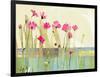 Cosmos-Robbin Rawlings-Framed Art Print