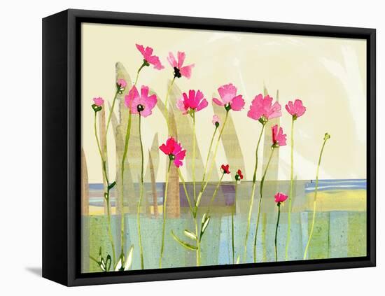 Cosmos-Robbin Rawlings-Framed Stretched Canvas