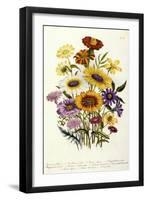 Cosmos-null-Framed Premium Giclee Print