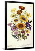 Cosmos-null-Framed Giclee Print