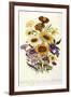 Cosmos-null-Framed Giclee Print