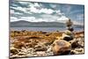 Coss Strand Ireland-Jan Michael Ringlever-Mounted Art Print