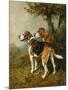 Cossack and Ringwood-John Emms-Mounted Giclee Print