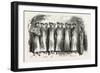 Cossack Songs by a Chorus of Russian Prisoners. 1855-null-Framed Giclee Print