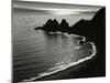 Costa Brava, Spain, 1960-Brett Weston-Mounted Premium Photographic Print