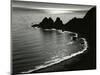 Costa Brava, Spain, 1960-Brett Weston-Mounted Photographic Print