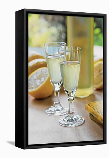 Costa D' Amalfi and Penisola Sorrentina Lemon Liquor-null-Framed Stretched Canvas