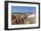 Costa Paradiso, Sardinia, Italy, Mediterranean, Europe-Markus Lange-Framed Photographic Print