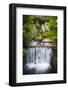 Costa Rica, Alajuela, La Fortuna. Hot Springs at the Tabacon Grand Spa Thermal Resort-Nick Ledger-Framed Photographic Print