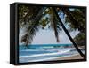 Costa Rica Beach with Tropical Palm Tree Photo Poster Print-null-Framed Stretched Canvas
